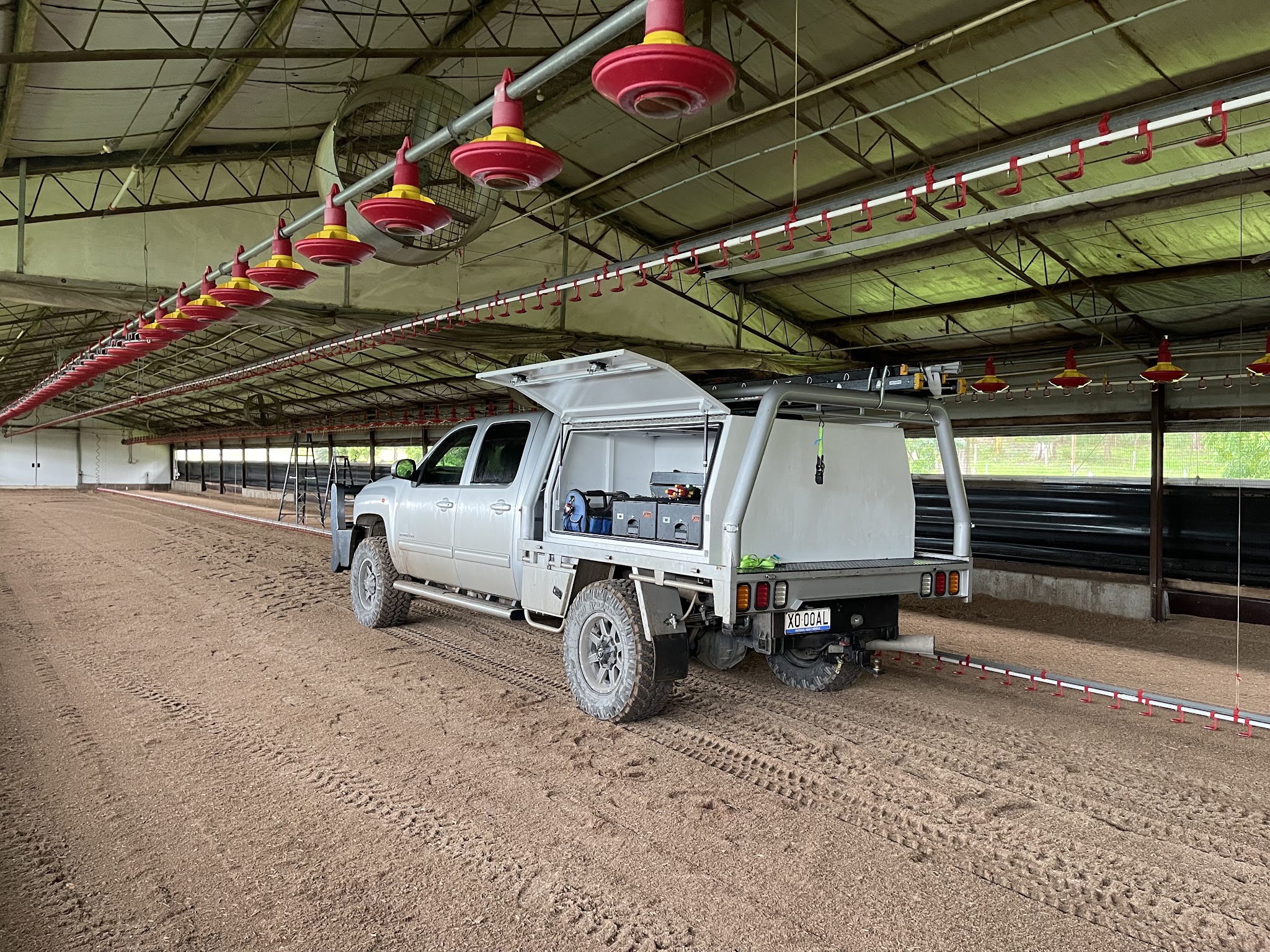 Service ute with its canopy open parked inside a long poultry shed, rows of feeder pans overhead